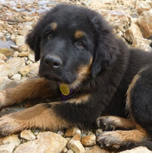 Meet your Posher, Lynn